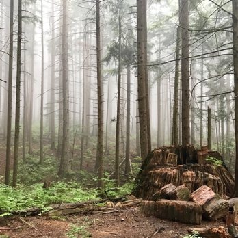 Crystal Falls - Trailhead - Hiking Near Me - Coquitlam, British Columbia
