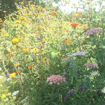 Clear Brook Farm - Nurseries & Gardening Near Me - Shaftsbury, Vermont Clear Brook Farm - Nurseries & Gardening Near Me - Shaftsbury, Vermont