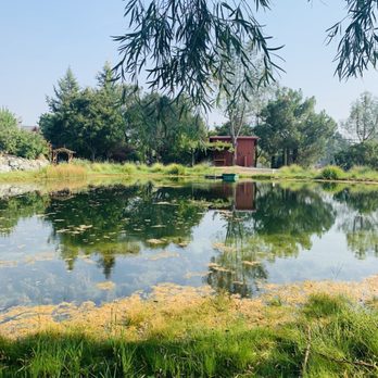 Eden Vale Inn - The little pond was fun - Bed & Breakfast Near Me - Placerville, California