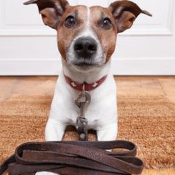 Carl Bohlmeyer Floor Sanding - 5 Ways To Protect Hardwood Floors During Winter - Flooring Near Me - Lincoln, Nebraska Carl Bohlmeyer Floor Sanding - 5 Ways To Protect Hardwood Floors During Winter - Flooring Near Me - Lincoln, Nebraska