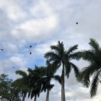Cypress Park - Baseball Fields Near Me - Coral Springs, Florida