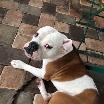 Hampton Station - Pizza Near Me - Tampa, Florida Hampton Station - Pizza Near Me - Tampa, Florida