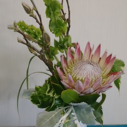 Adobe Rose Custom Florist