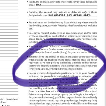 Aventon Annapolis by Willow Bridge - Pet policy never enforced. The courtyard is essentially a dog park - Apartments Near Me - Annapolis, Maryland Aventon Annapolis by Willow Bridge - Pet policy never enforced. The courtyard is essentially a dog park - Apartments Near Me - Annapolis, Maryland