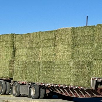 HNM Feed - Livestock Feed & Supply Near Me - Pahrump, Nevada HNM Feed - Livestock Feed & Supply Near Me - Pahrump, Nevada