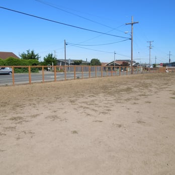 Fort Bragg Dog Park - Dog Parks Near Me - Fort Bragg, California
