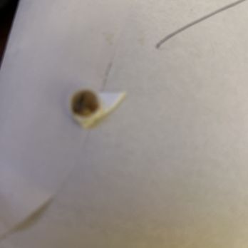 Wendy's - Plastic found in my burger - Burgers Near Me - Peabody, Massachusetts Wendy's - Plastic found in my burger - Burgers Near Me - Peabody, Massachusetts