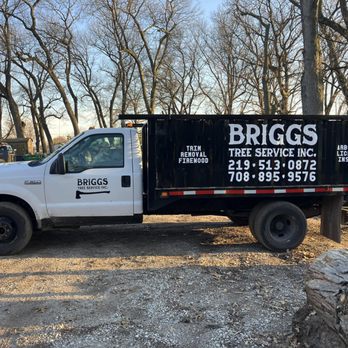 Briggs Tree Services - Tree Services Near Me - Lansing, Illinois Briggs Tree Services - Tree Services Near Me - Lansing, Illinois