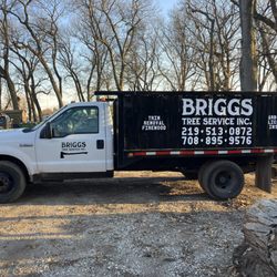 Briggs Tree Services