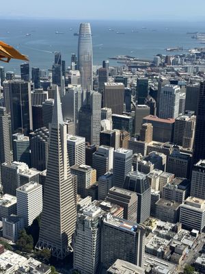 Seaplane Adventures by null