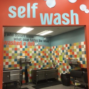 petco self wash