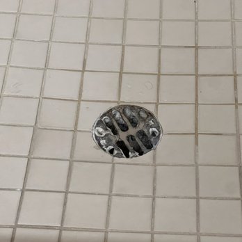 BLVD Hotel & Studios - Something growing on bottom of shower pan - Hotels Near Me - Studio City, California BLVD Hotel & Studios - Something growing on bottom of shower pan - Hotels Near Me - Studio City, California