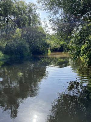 Canoe Outpost-Little Manatee River by null