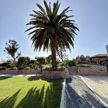 Vicente Tree Services and Landscape - Landscaping Near Me