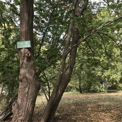 Park Hohenrode