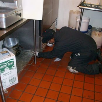 North Point Pest Solutions - Servicing inside commercial Building - Pest Control Near Me - Novato, California North Point Pest Solutions - Servicing inside commercial Building - Pest Control Near Me - Novato, California
