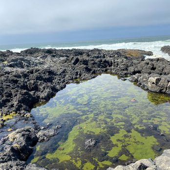 Thor’s Well - Intersting flora and fauna here - Landmarks & Historical Buildings Near Me - Florence, Oregon Thor’s Well - Intersting flora and fauna here - Landmarks & Historical Buildings Near Me - Florence, Oregon