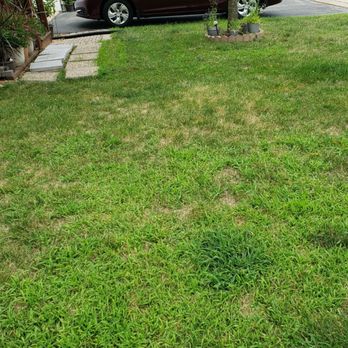 Eternally Green Lawn Care - Its not their fault they said. Its our fault! - Landscaping Near Me - Frankfort, Illinois Eternally Green Lawn Care - Its not their fault they said. Its our fault! - Landscaping Near Me - Frankfort, Illinois