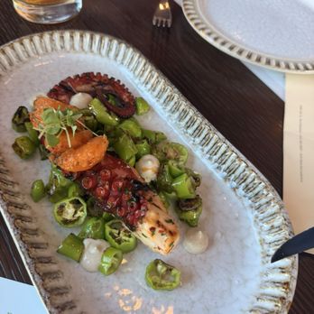 Willow - Octopus - Italian Near Me - Sacramento, California Willow - Octopus - Italian Near Me - Sacramento, California