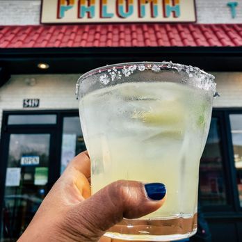 Paloma Taco And Tequila - Cheers to Paloma - Tacos Near Me - Milwaukee, Wisconsin Paloma Taco And Tequila - Cheers to Paloma - Tacos Near Me - Milwaukee, Wisconsin