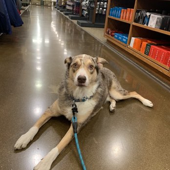 Cabela's - Cabelas is Summit approved - Outdoor Gear Near Me - Allen, Texas