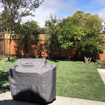 Blue Cypress Landscaping - After - Landscaping Near Me - Penngrove, California Blue Cypress Landscaping - After - Landscaping Near Me - Penngrove, California