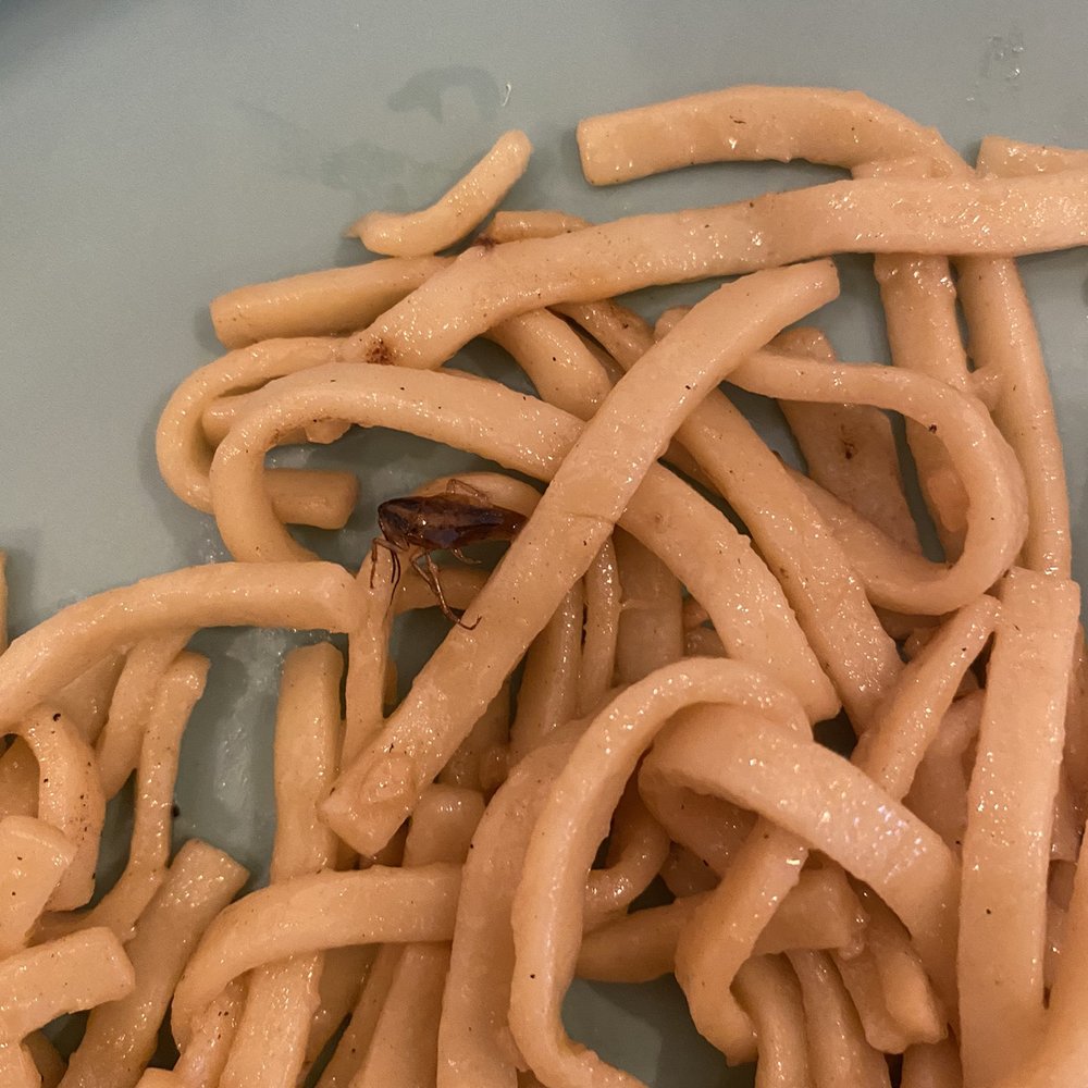 Hunan Chinese Restaurant - Bugs in food - Chinese Near Me - Killeen, Texas
