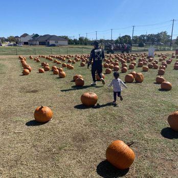 The Flower Mound Pumpkin Patch - Pumpkin Patches Near Me - Flower Mound, Texas