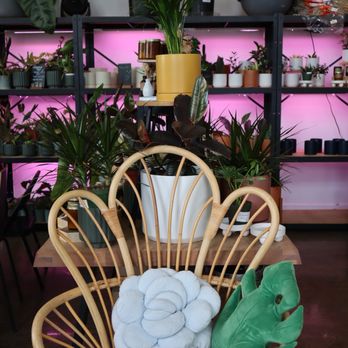 Bloomsgiving - Florists Near Me - Mountain View, California