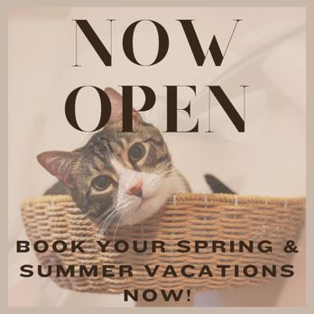 Fluffed Petcare - Pet Sitting Near Me Fluffed Petcare - Pet Sitting Near Me