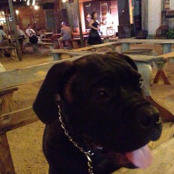 The Buzz Mill - Came here with this little babe - Coffee & Tea Near Me - Austin, Texas
