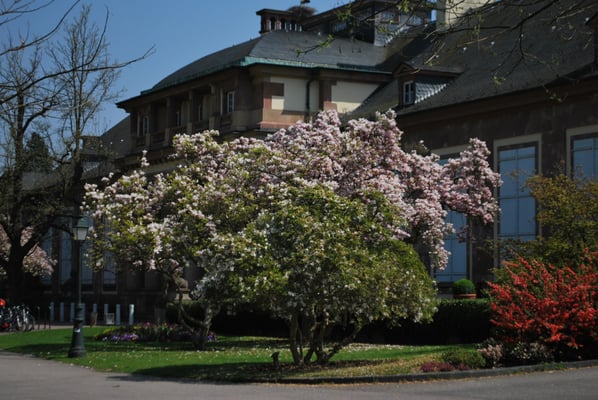 Parc de l'Orangerie by null