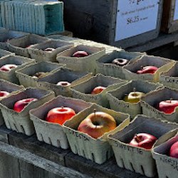 Champlain Orchards