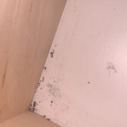 Red Roof - Hair, Dirt, Bugs & More in the drawer next to bed FRIDGE is same way looks just like this,