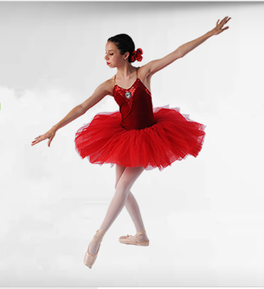 Eastern Shore Dance Academy Logo