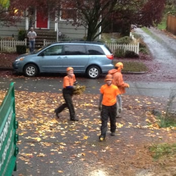 Seattle Tree Care - Tree Services Near Me - Seattle, Washington Seattle Tree Care - Tree Services Near Me - Seattle, Washington