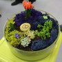Photo of Luludi Living Art