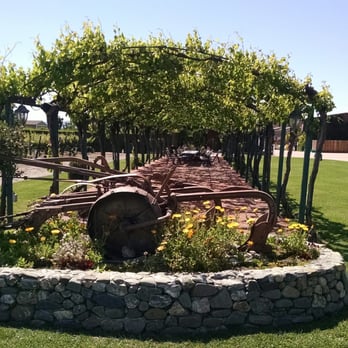 Concannon Vineyard - Seating under the canopy - Wine Tasting Room Near Me - Livermore, California