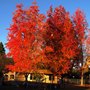 Photo of Lydiksen Elementary School