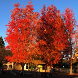 Lydiksen Elementary School