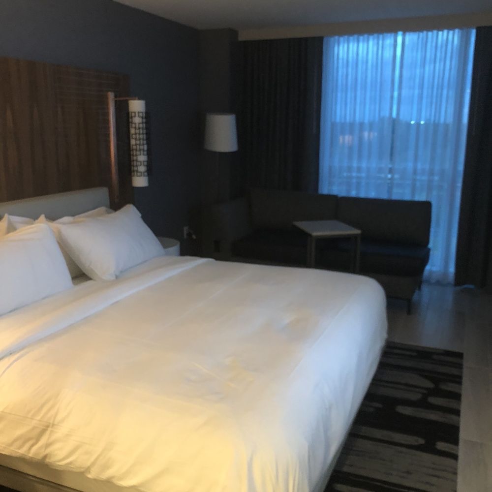 Le Meridien Dania Beach - Hotels Near Me - Dania Beach, Florida Le Meridien Dania Beach - Hotels Near Me - Dania Beach, Florida