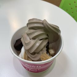 sweetFrog Premium Frozen Yogurt - Cookies & Cream Vanilla  Cappuccino