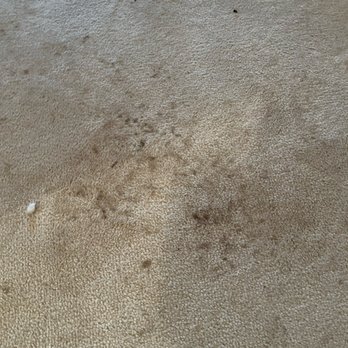 Fast Action Pest Control - Aftermath of pest service where no work was actually performed... - Pest Control Near Me - Elk Grove, California