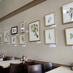 Monthly local art installations... very cool! My lavender "sold".