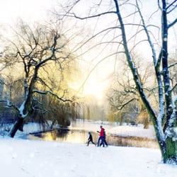 Park Am Weiher - Nur die Harten kommen in den Garten