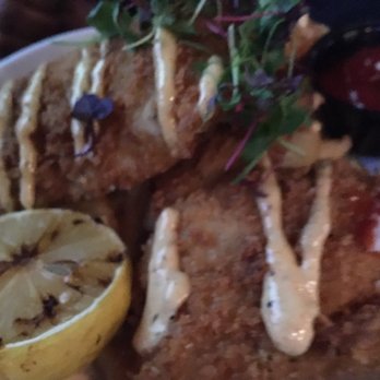 The Perch Brewery - Gastropubs Near Me - Chandler, Arizona The Perch Brewery - Gastropubs Near Me - Chandler, Arizona