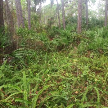 Cedar Point Environmental Park - Hiking Near Me - Englewood, Florida