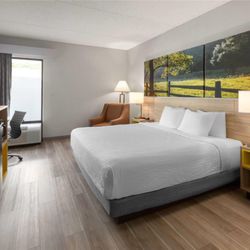 Days Inn by Wyndham Blairsville - Guest room
