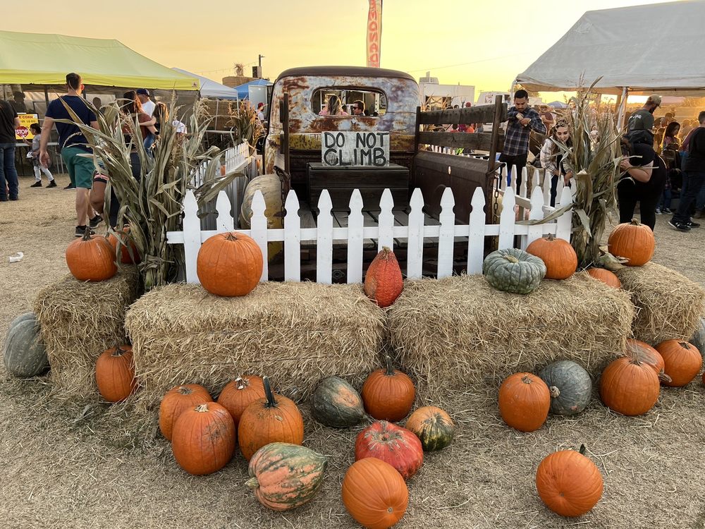 VOSSLER FARMS Updated October 2024 69 Photos & 25 Reviews 26773 S