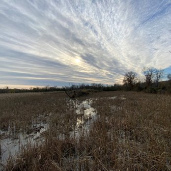 Huntley Meadows Park - Parks Near Me - Alexandria, Virginia Huntley Meadows Park - Parks Near Me - Alexandria, Virginia